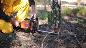 Lawn Watering Services in Cerritos, CA